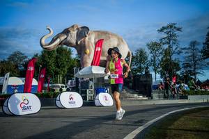 BIB: 
                            <button type="button" onclick="openModal(26541763)" class="btn btn-primary btn-sm float-right btn-popup" data-toggle="modal" data-target=".modal-high-quality">
                        <i class="fas fa-shopping-cart"></i> Add to Cart
                    </button>
                                            <button type="button" onclick="isThisMe(26541763, true)" class="btn btn-success btn-sm float-right btn-popup btn-isme hidden" data-toggle="tooltip" data-placement="bottom" title="นี่คือรูปของคุณใช่ไหม คลิกที่นี่เพื่อเอาเข้าอัลบั้ม">
                        <i class="fas fa-plus"></i> Add to album
                    </button>
                    <button type="button" onclick="isThisMe(26541763, false)" class="btn btn-warning btn-sm float-right btn-popup btn-isnotme hidden">
                        <i class="fas fa-ban"></i> Remove from album
                    </button>